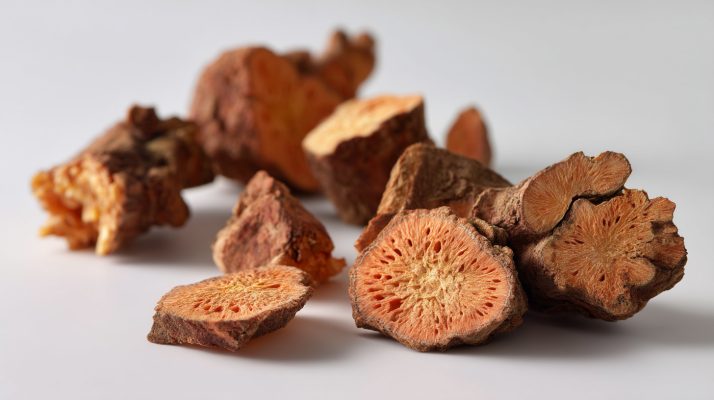Rhodiola_Rosea